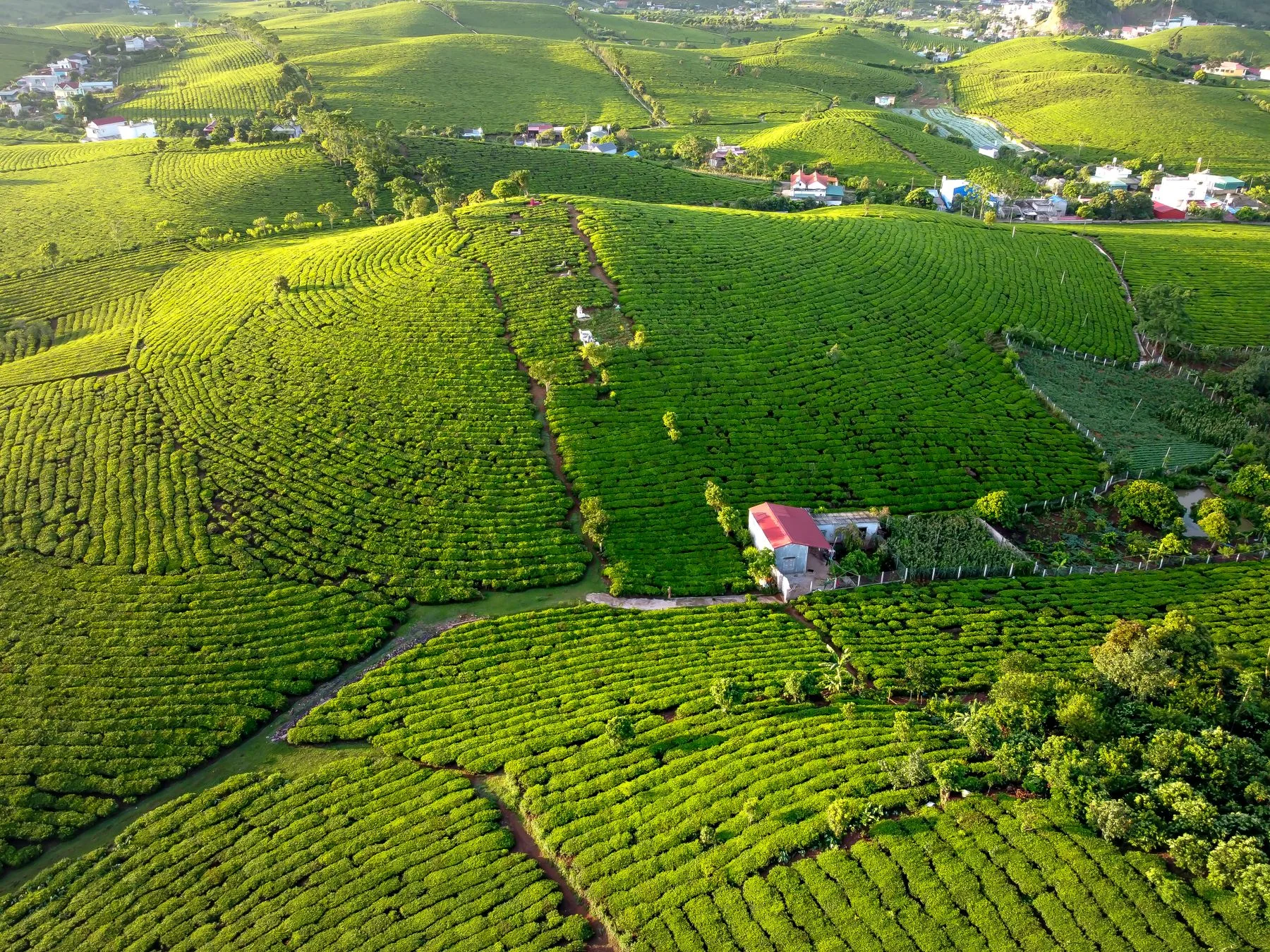 Land buying & sales — illustrative stock photograph